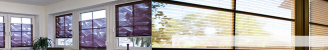 Plissee
