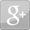 Google Plus